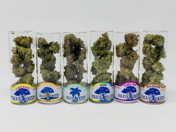 Assorted premium cannabis flower displayed in glass jars at Happy Time Dispensary Yakima location